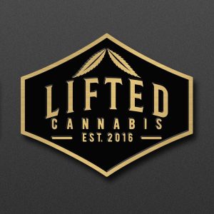 Lifted Shield Logo Pin