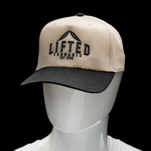 Lifted Logo Snapback Hat